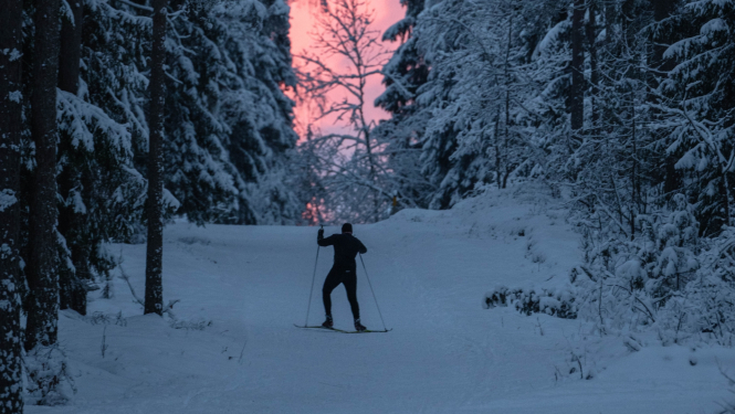 Zilo kalnu slēpošanas trase 12.2023.
