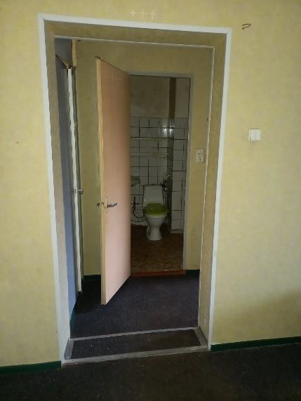 Nekustamā īpašuma “Bērzi”-20, Lēdmane, Lēdmanes pagasts, Ogres novads, kadastra numurs 7464 900 0236, atsavināšanas izsole - durvis uz labierīcībām