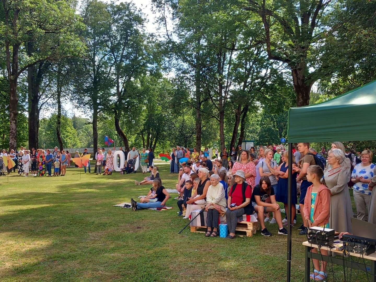 Suntaži svin 800 gadu jubileju