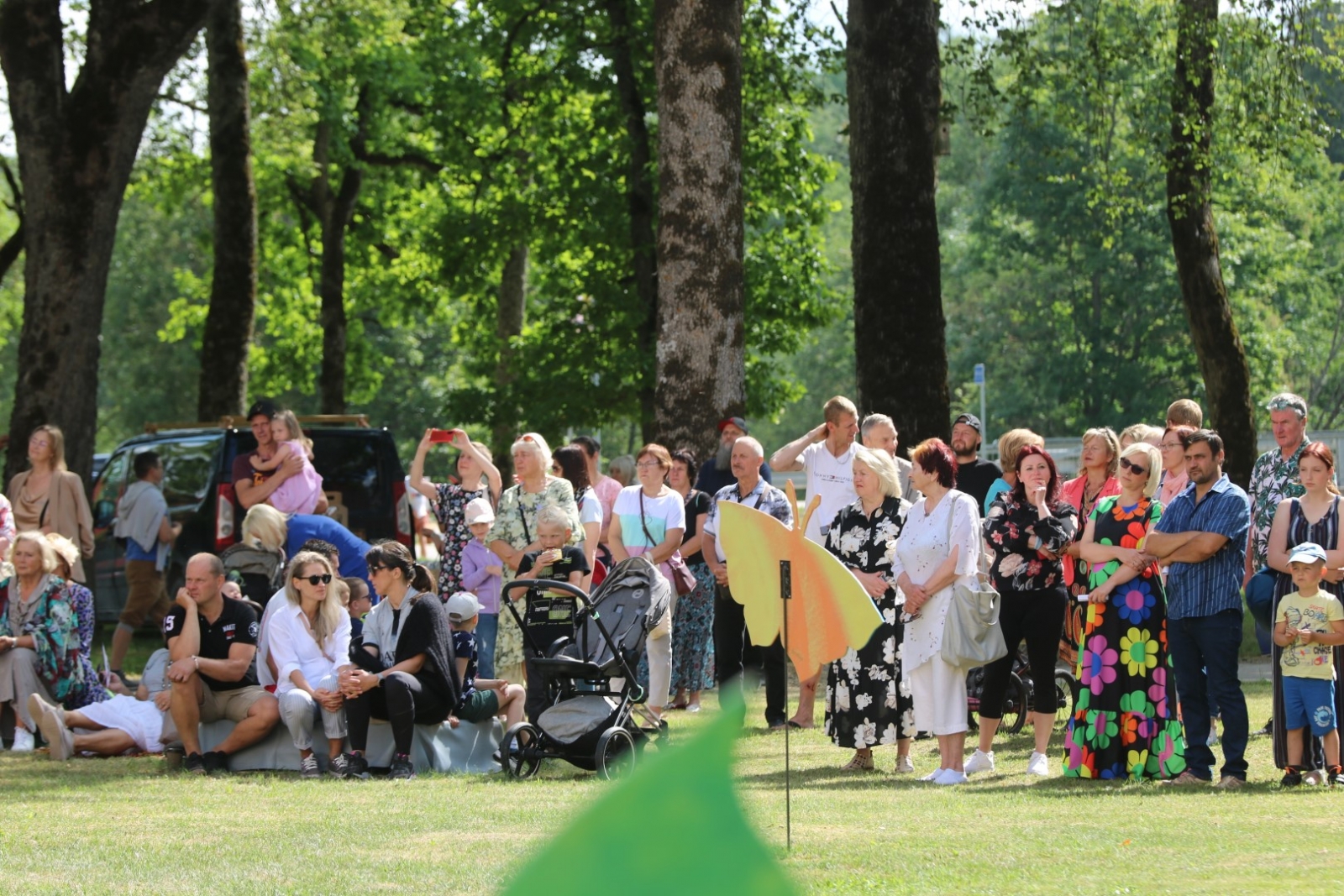 Suntaži svin 800 gadu jubileju