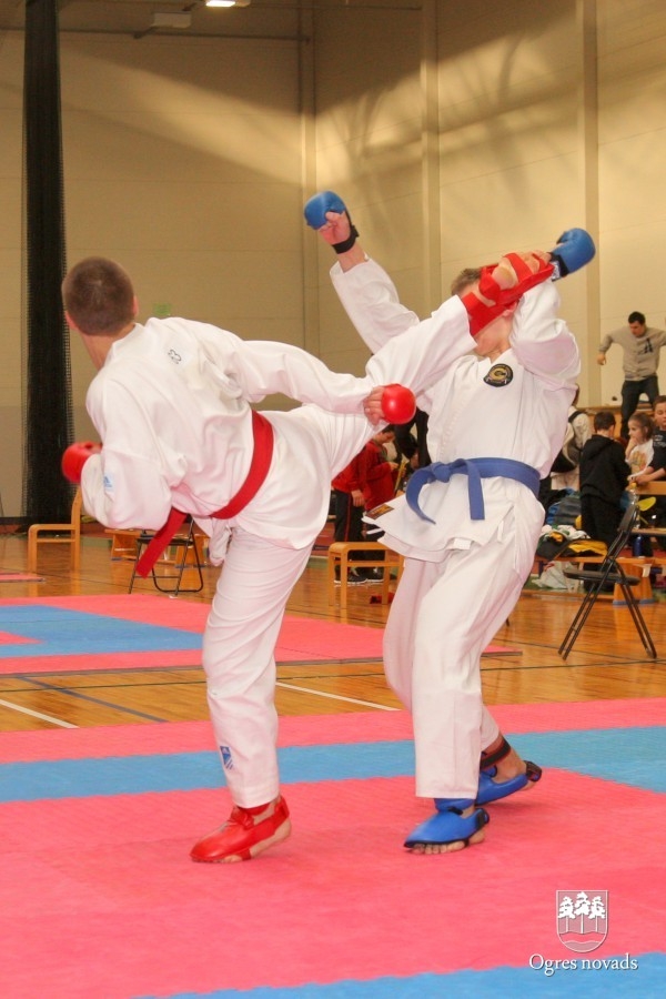 XI Starptautiskais čempionāts  „OGRES KARATĒ KAUSS 2013”