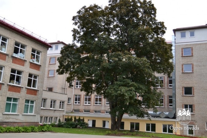Valdības atzinība Ogres 1. vidusskolas absolventiem