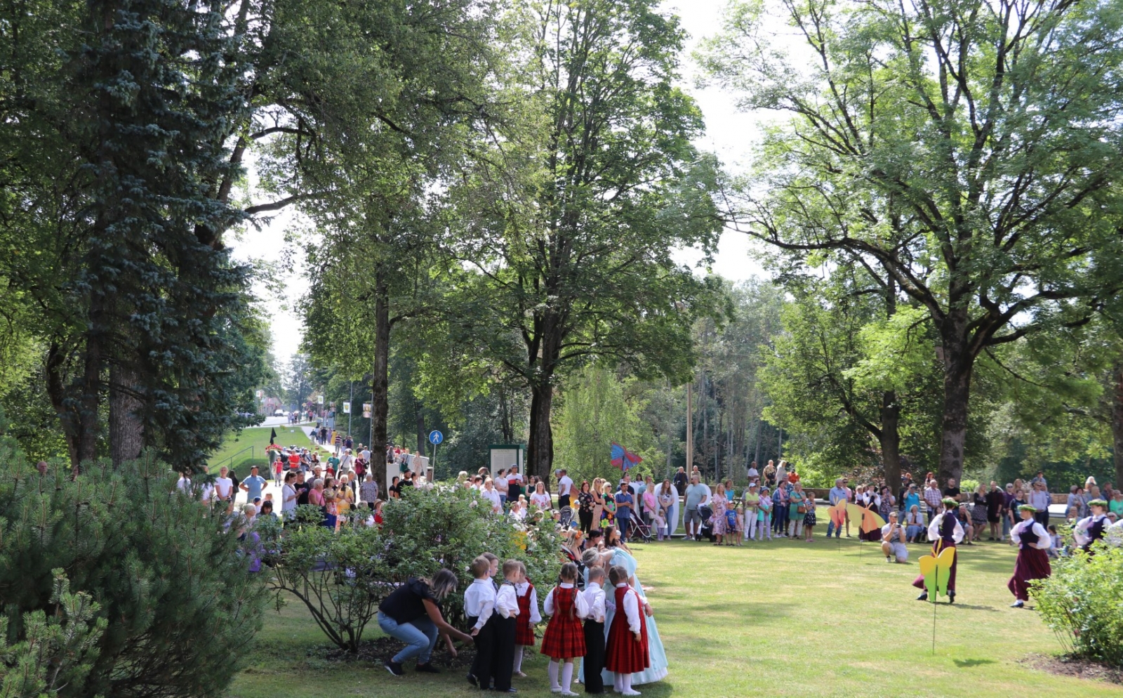 Suntaži svin 800 gadu jubileju