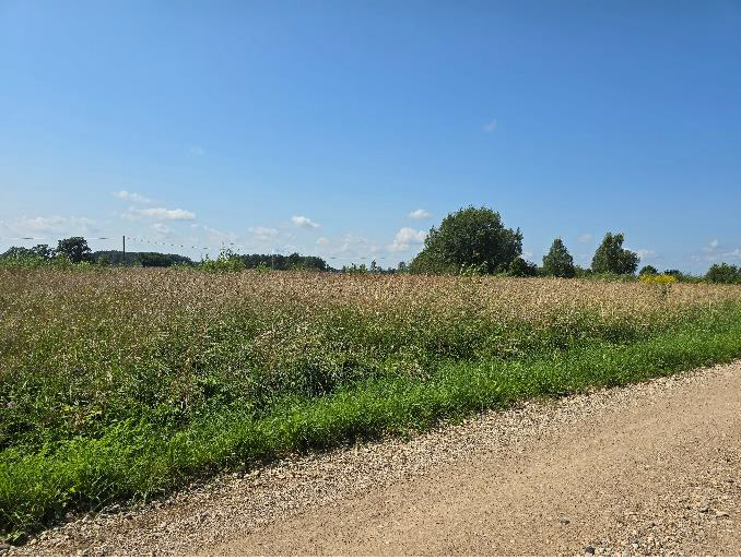 Ogres novada pašvaldībai piederoša nekustamā īpašuma – “Laksti”, Madliena, Madlienas pagasts Ogres novads izsole