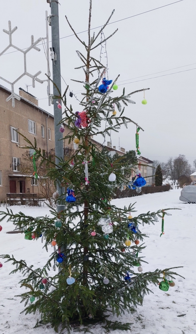 38. Birzgales invalīdu biedrība Zalktis