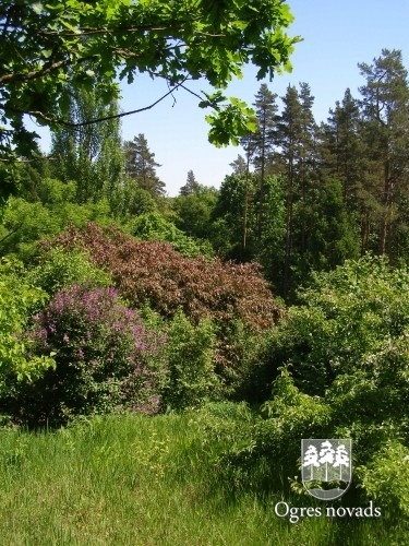 Dendroloģiskais dabas parks Lazdukalni