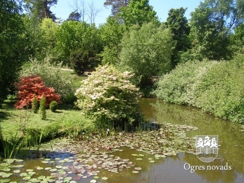 Dendroloģiskais dabas parks Lazdukalni