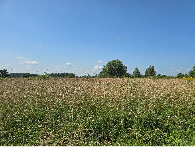 Ogres novada pašvaldībai piederoša nekustamā īpašuma – “Laksti”, Madliena, Madlienas pagasts Ogres novads izsole