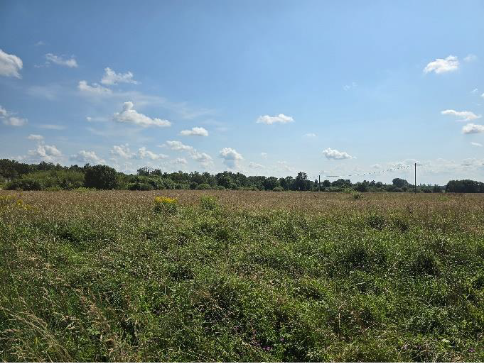 Ogres novada pašvaldībai piederoša nekustamā īpašuma – “Laksti”, Madliena, Madlienas pagasts Ogres novads izsole