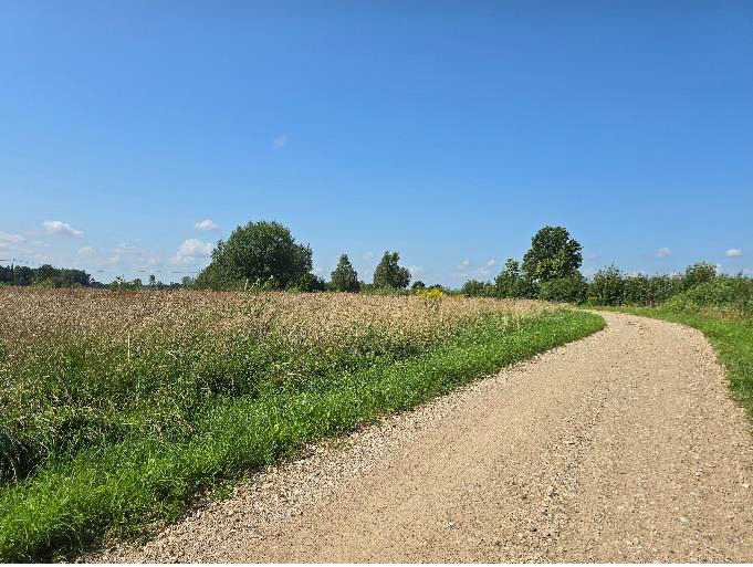 Ogres novada pašvaldībai piederoša nekustamā īpašuma – “Laksti”, Madliena, Madlienas pagasts Ogres novads izsole