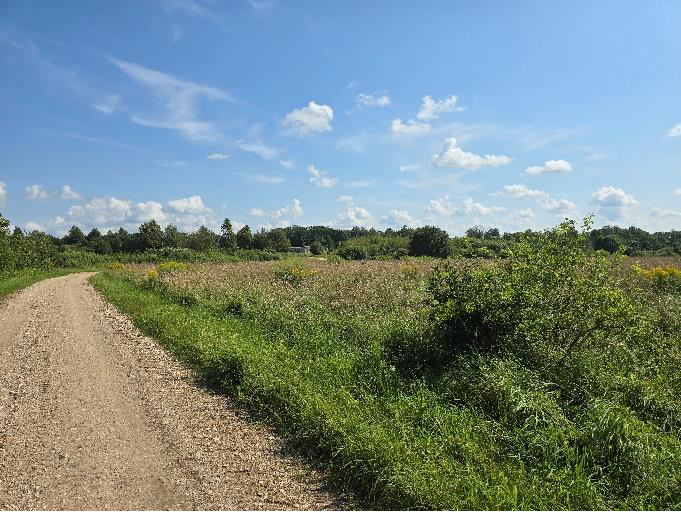 Ogres novada pašvaldībai piederoša nekustamā īpašuma – “Laksti”, Madliena, Madlienas pagasts Ogres novads izsole