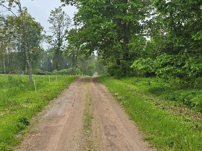 Nekustamā īpašuma “Ziediņi”, Mazozolu pagasts, Ogres novads, atsavināšanas izsole
