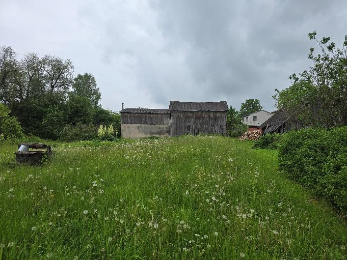 Nekustamā īpašuma “Virbaļi”, Madliena, Madlienas pagasts, Ogres novads atsavināšanas izsole