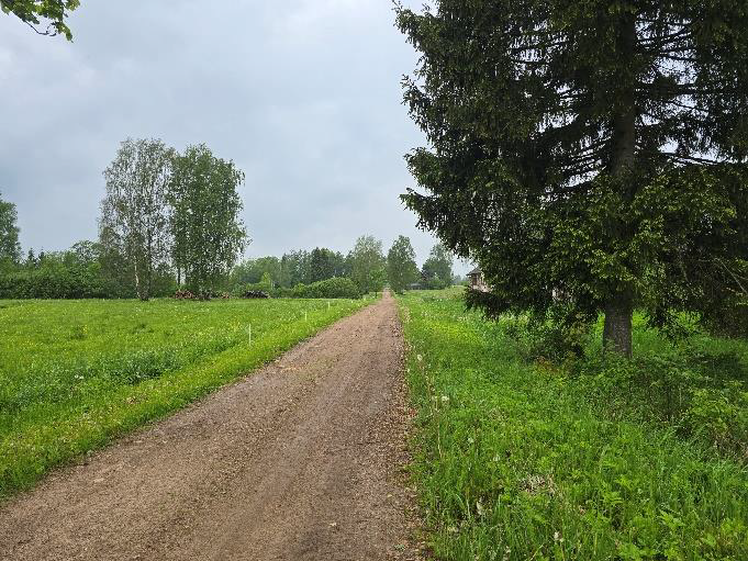 Nekustamā īpašuma “Ziediņi”, Mazozolu pagasts, Ogres novads, atsavināšanas izsole
