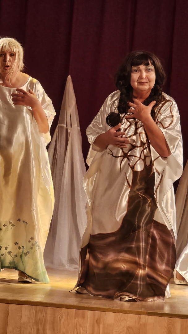 Diasporas Amatierteātru festivāls “Laipa -  2025 Birzgalē” - aina no izrādes.