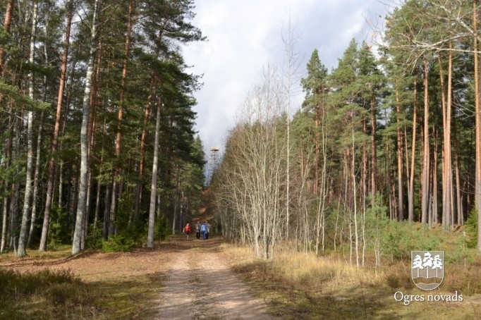 Dabas parkā būvē skatu torni