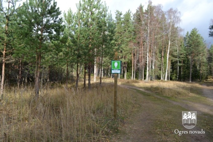 Dabas parkā būvē skatu torni