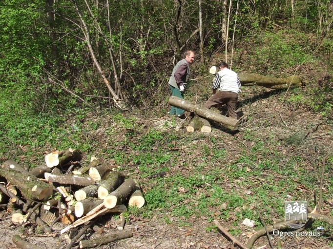 Lielā talka 2011