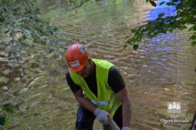 Foresta kauss 2014