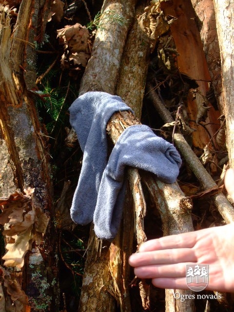 „Foresta ekstrēmajā daudzcīņā” uzvar „Vērene, laižam!”