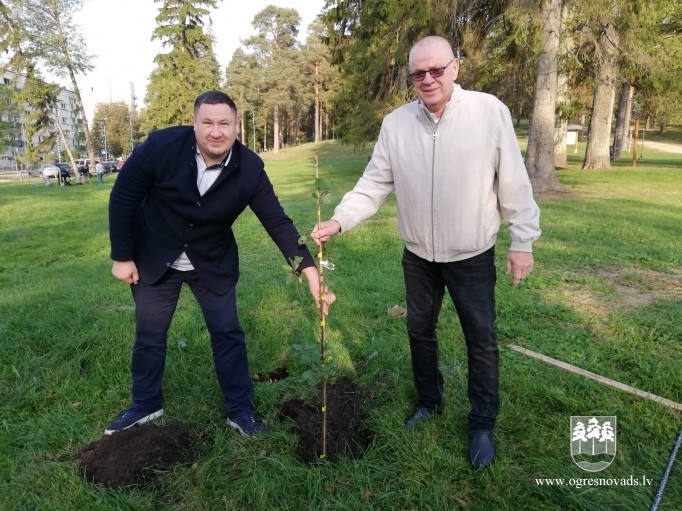 Atjauno mežaudzi Zilo kalnu pakājē (02.10.2020.)