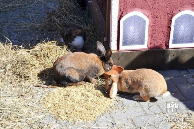 Lieldienu svētki 2012