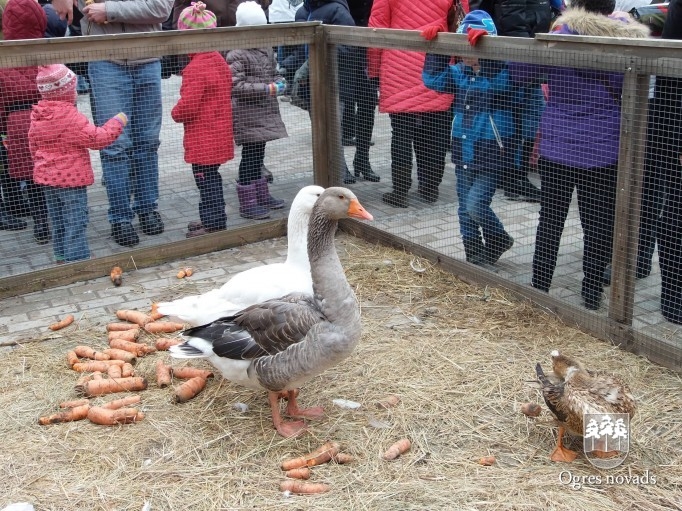 Lieldienas Ogrē