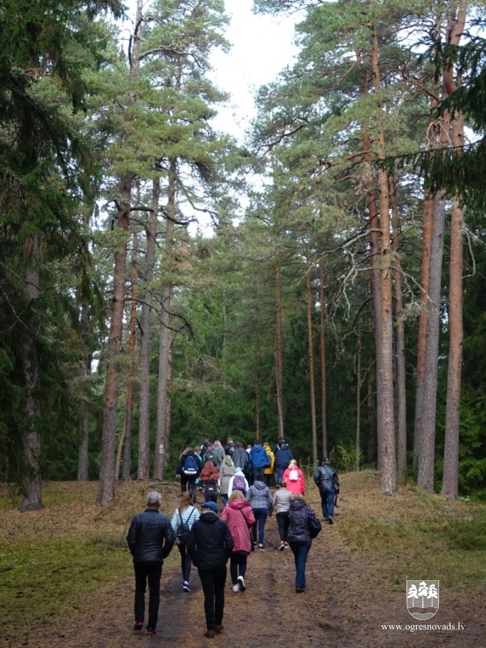 Aizvadīta starptautiskā mūzikas nedēļa Ogres Mūzikas skolā