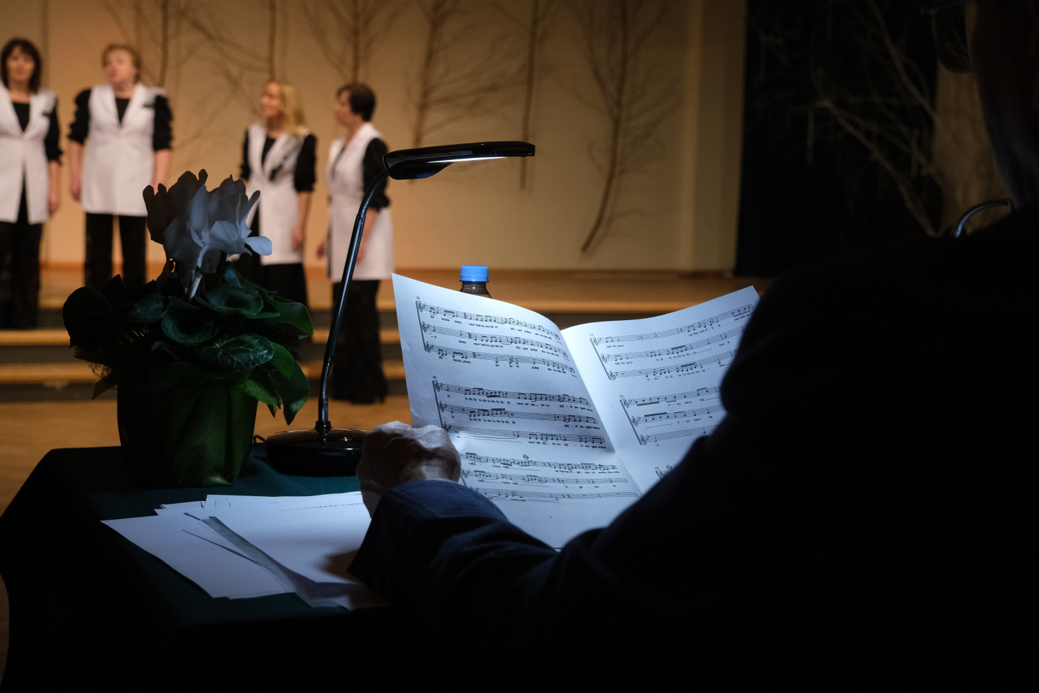 Ogres novada vokālo ansambļu skate - notis