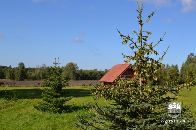 Noslēdzies konkurss “Ogres novada sakoptākā sēta 2014”