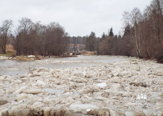 No Ogres upes ledus netiek Daugavā