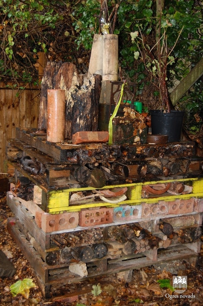 Ogres novada pašvaldības un izglītības iestāžu pārstāvji viesojās Lielbritānijā projekta „Outdoor Learning 4 All” ietvaros
