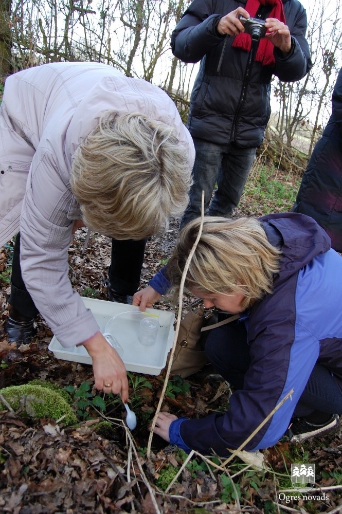 Projekta „Outdoor learning 4 All” ietvaros partneri no Latvijas viesojās Sautendā
