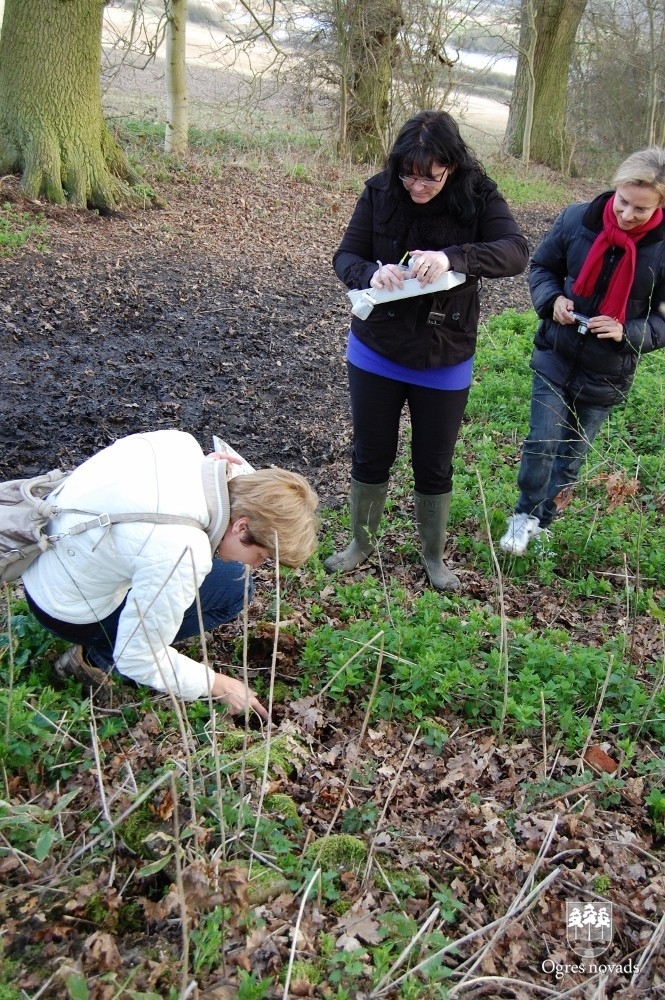 Projekta „Outdoor learning 4 All” ietvaros partneri no Latvijas viesojās Sautendā