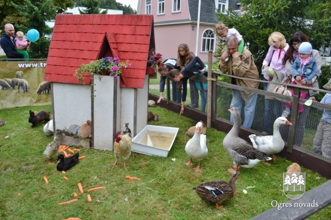 Ogres pilsētas svētki 2014 (2)