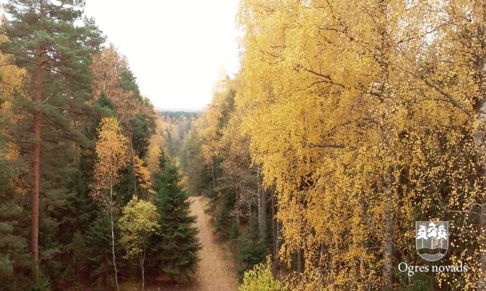 Bērni no Ukrainas priecājas par Latvijas skaisto dabu