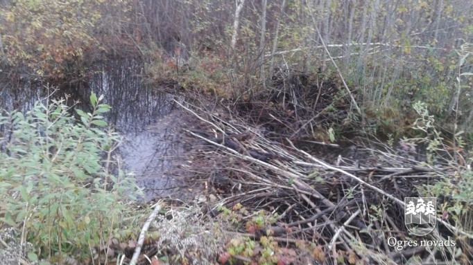 Ķilupes tīrīšana 16.10.2014.