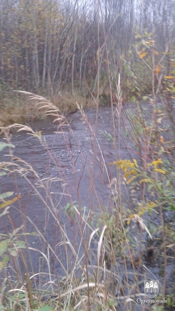 Ķilupes tīrīšana 16.10.2014.