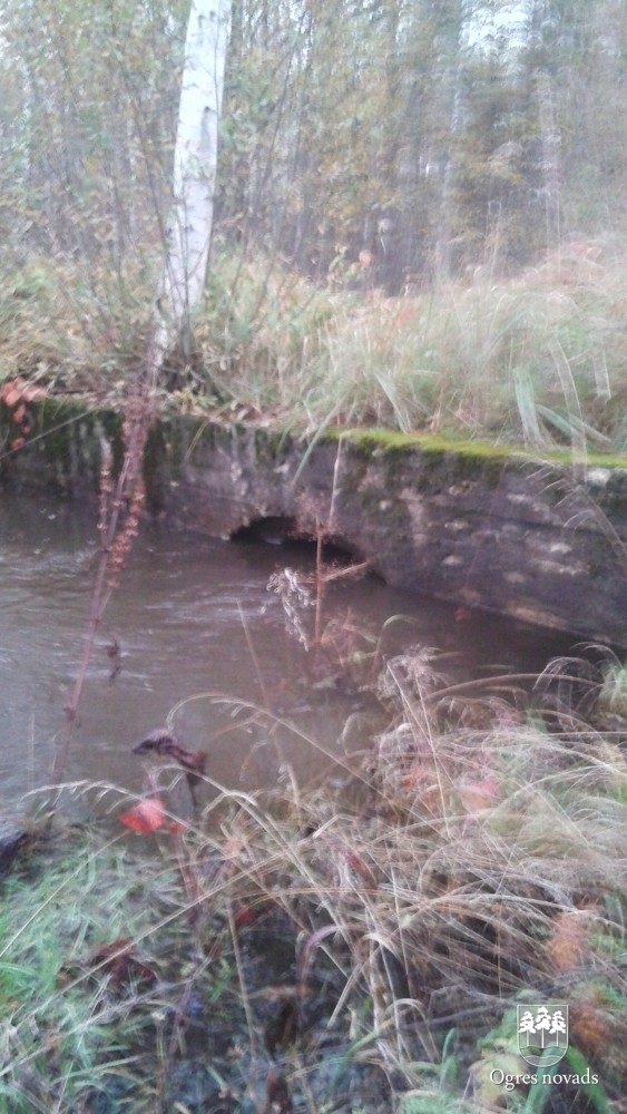 Ķilupes tīrīšana 16.10.2014.