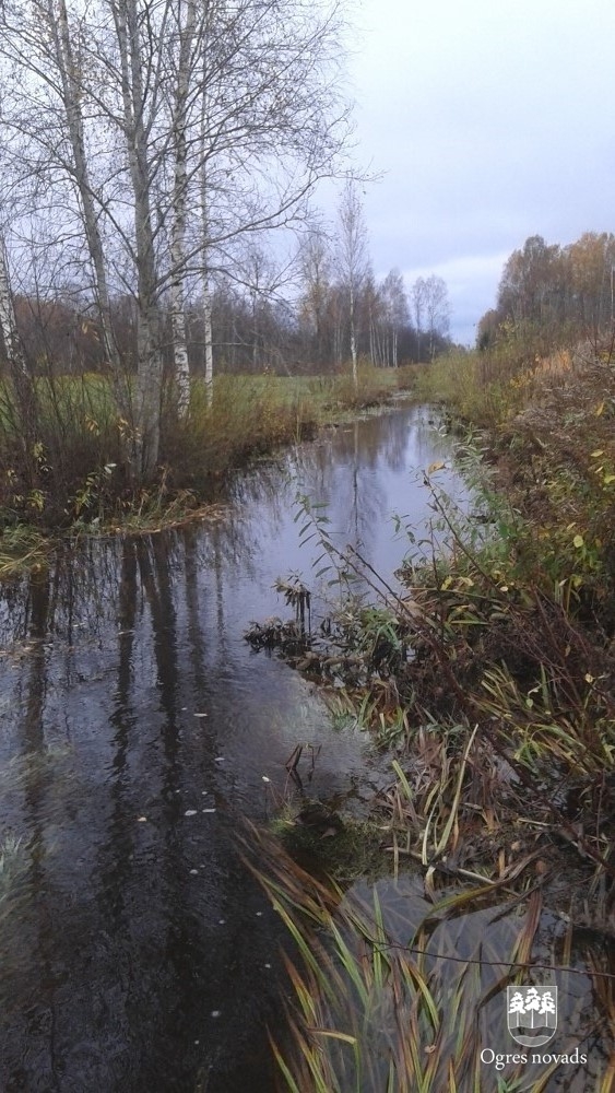 Ķilupes tīrīšana 16.10.2014.