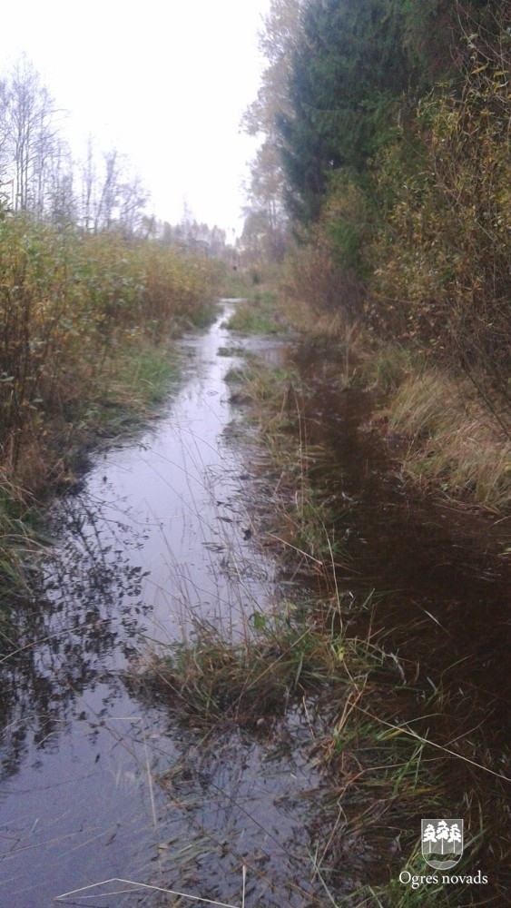 Ķilupes tīrīšana 16.10.2014.
