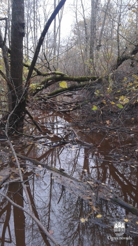 Ķilupes tīrīšana 16.10.2014.