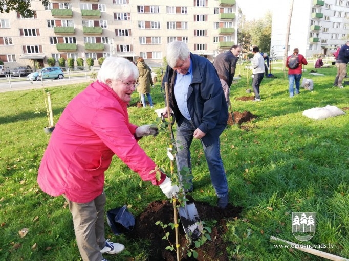 Atjauno mežaudzi Zilo kalnu pakājē (02.10.2020.)