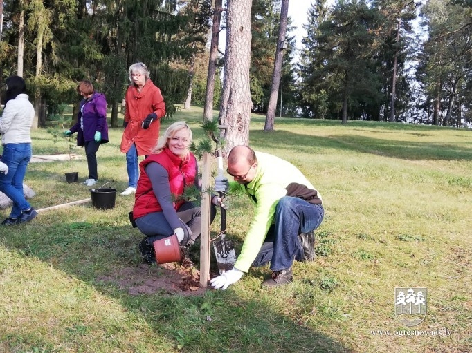 Atjauno mežaudzi Zilo kalnu pakājē (02.10.2020.)