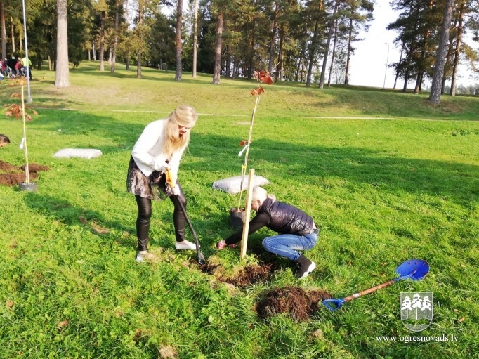 Atjauno mežaudzi Zilo kalnu pakājē (02.10.2020.)