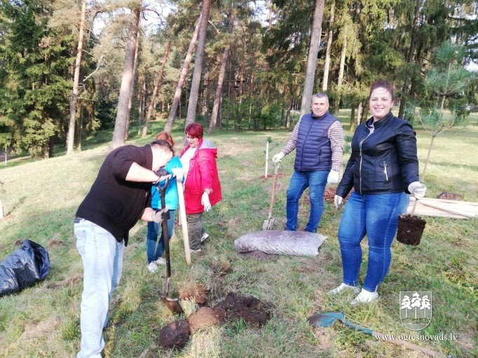 Atjauno mežaudzi Zilo kalnu pakājē (02.10.2020.)