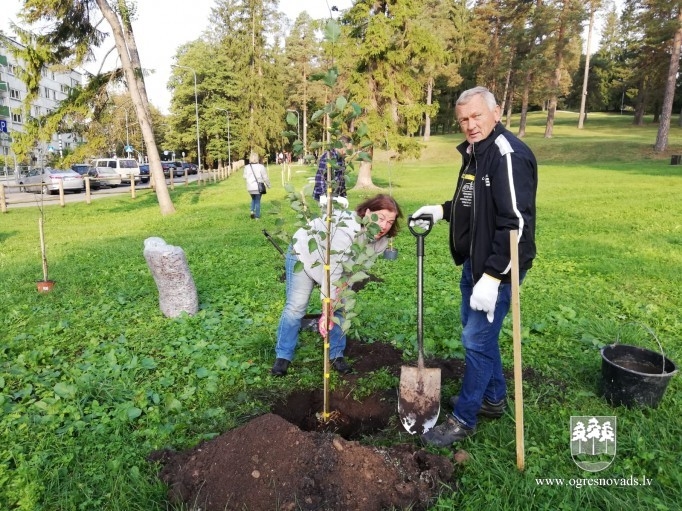 Atjauno mežaudzi Zilo kalnu pakājē (02.10.2020.)