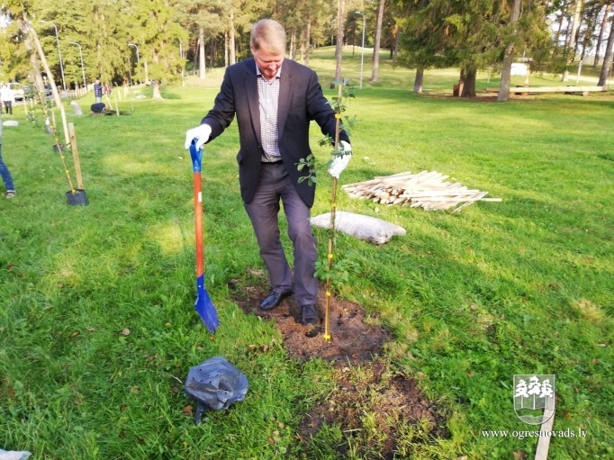 Atjauno mežaudzi Zilo kalnu pakājē (02.10.2020.)