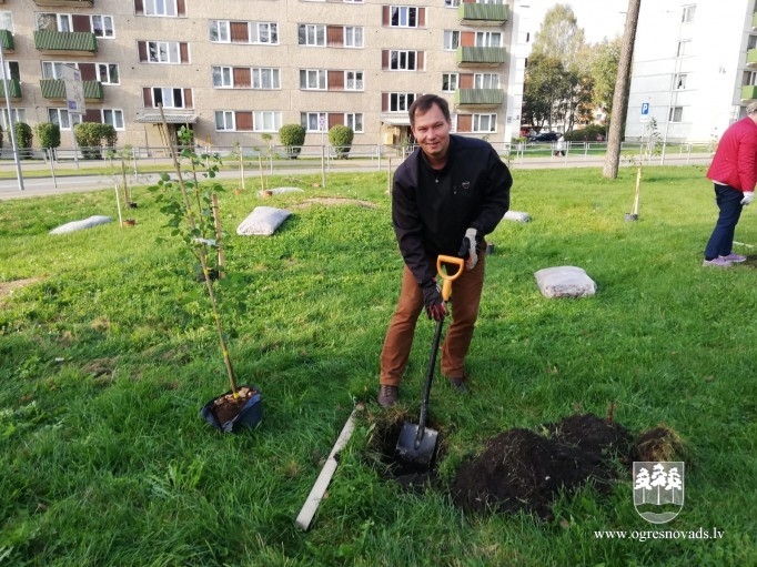 Atjauno mežaudzi Zilo kalnu pakājē (02.10.2020.)