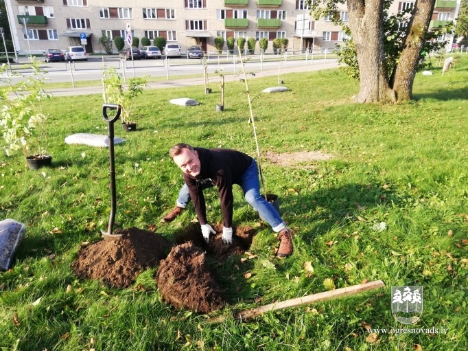 Atjauno mežaudzi Zilo kalnu pakājē (02.10.2020.)